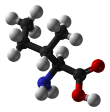 isoleucina
